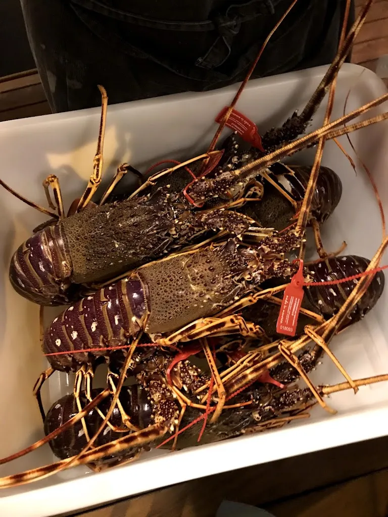 Menu_Can Los Son Granot_Castell Es_image_9