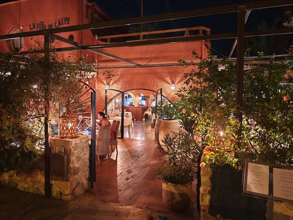 matt burns_The Calpe Vineyard_Calp_recensione