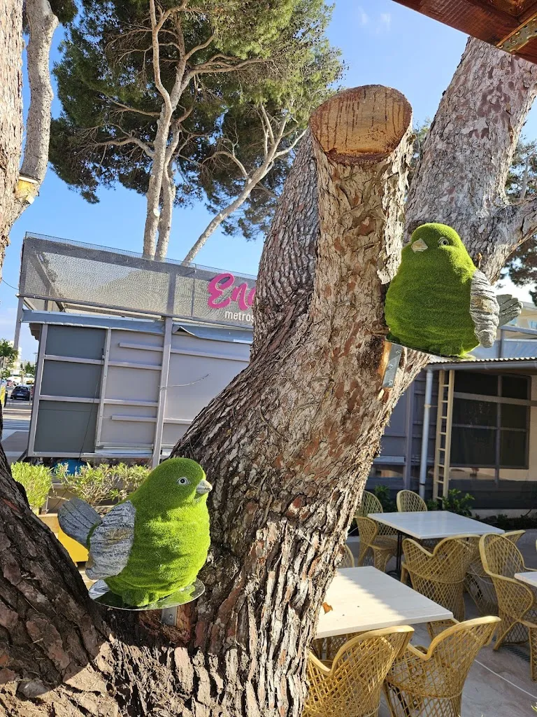 Julian_Morgans Cala Ratjada Restaurante_Cala Rajada_review