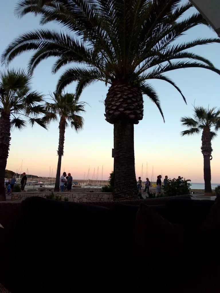 Maricel Felico_ON The Rooftop - Cala Ratjada_Cala Rajada_recensione