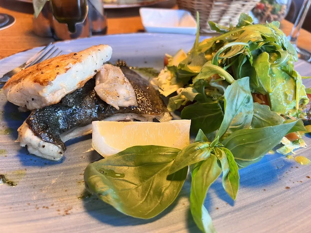 Sia Holovachuk_Balandrijs_Cala Rajada_review