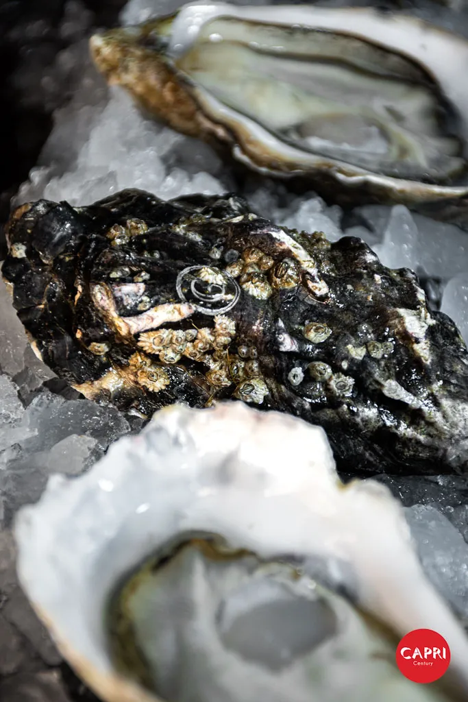 Menu_Capri Restaurant /Seafood/Sushi Atelier_Calp_image_5