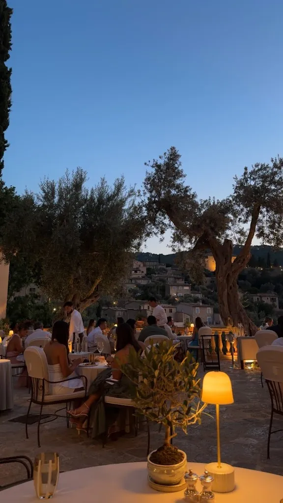 Areej M_El Olivo_Deyá_review