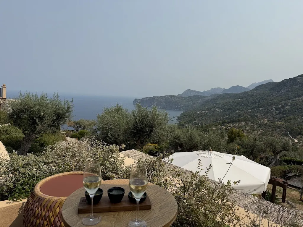 Ani Adzhemyan_Sa Pedrissa_Deià_review