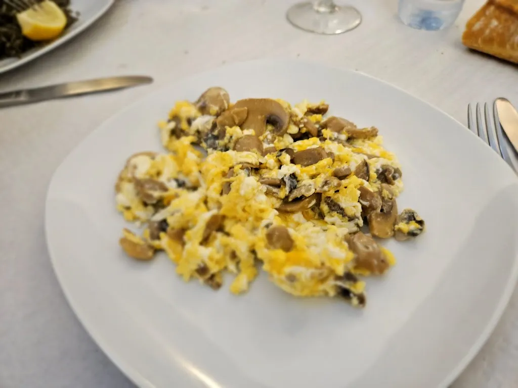 Julio Vicente_Tolezamar_Eivissa_review