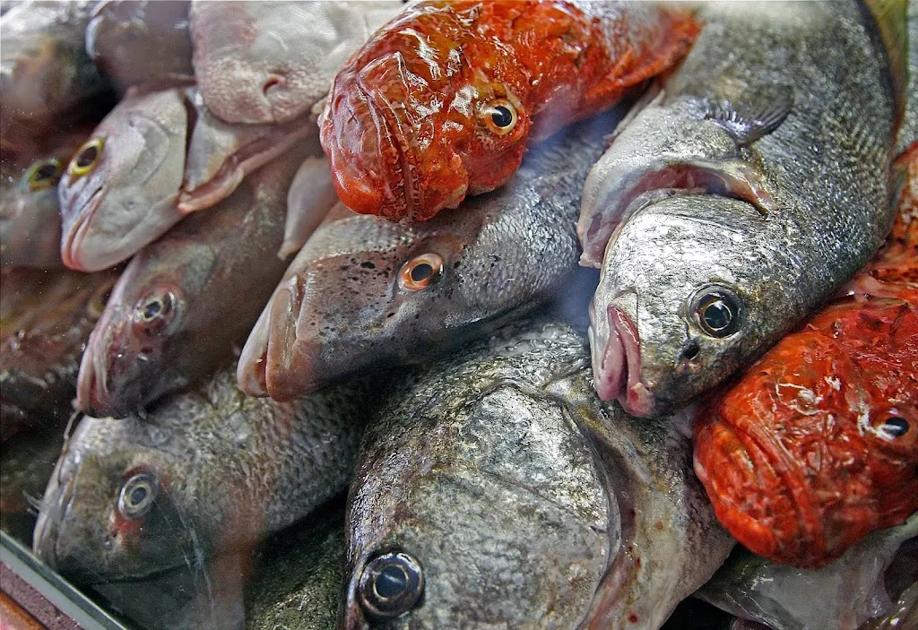 Restaurante Bonsol_Coll d'en Rabassa_slider_image_3