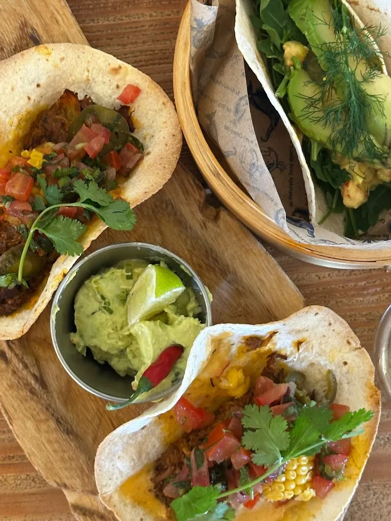 C. Gruber_Pata Negra, Ciutat Jardí_Coll d'en Rabassa_review