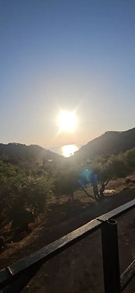 Dr.Bailey - My Reviews_Restaurant Giardini_Estellencs_review