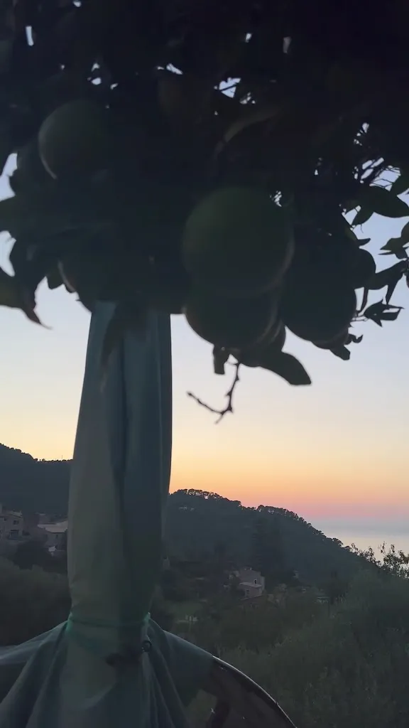 Restaurant Giardini_Estellencs_slider_image_2