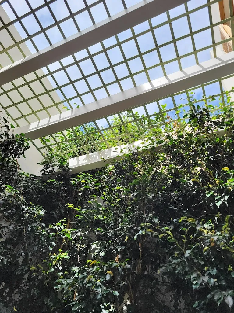 Nomad Around_Restaurant Lavall_Ciutadella de Menorca_review