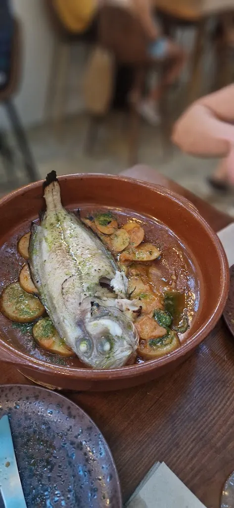 Vilmos Dohnal_Primitiu_Ciutadella de Menorca_review