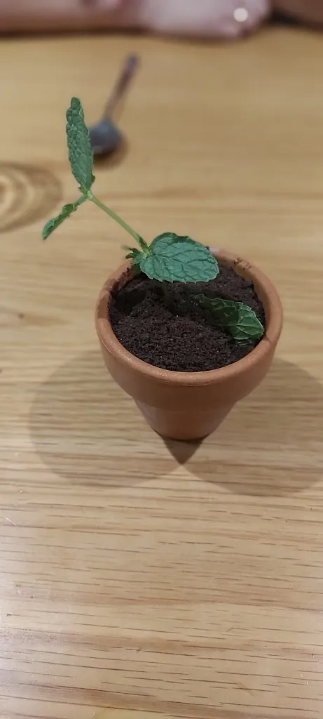 Menu_Restaurante Brel_Campello el_image_9