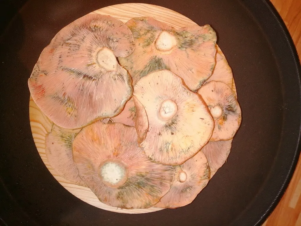 Menu_Bon Pas Molinar_Es Molinar_immagine_7