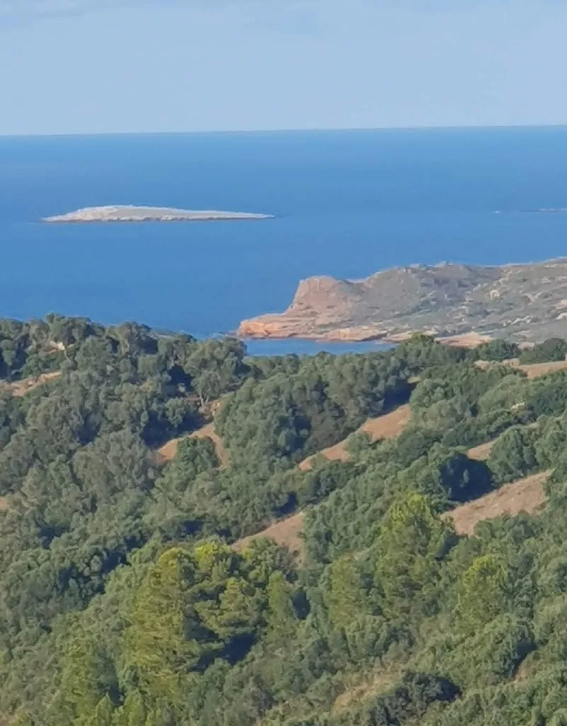 Verena Achermann - Höltschi_RESTAURANT NOU VIMPI_Ferreries_review