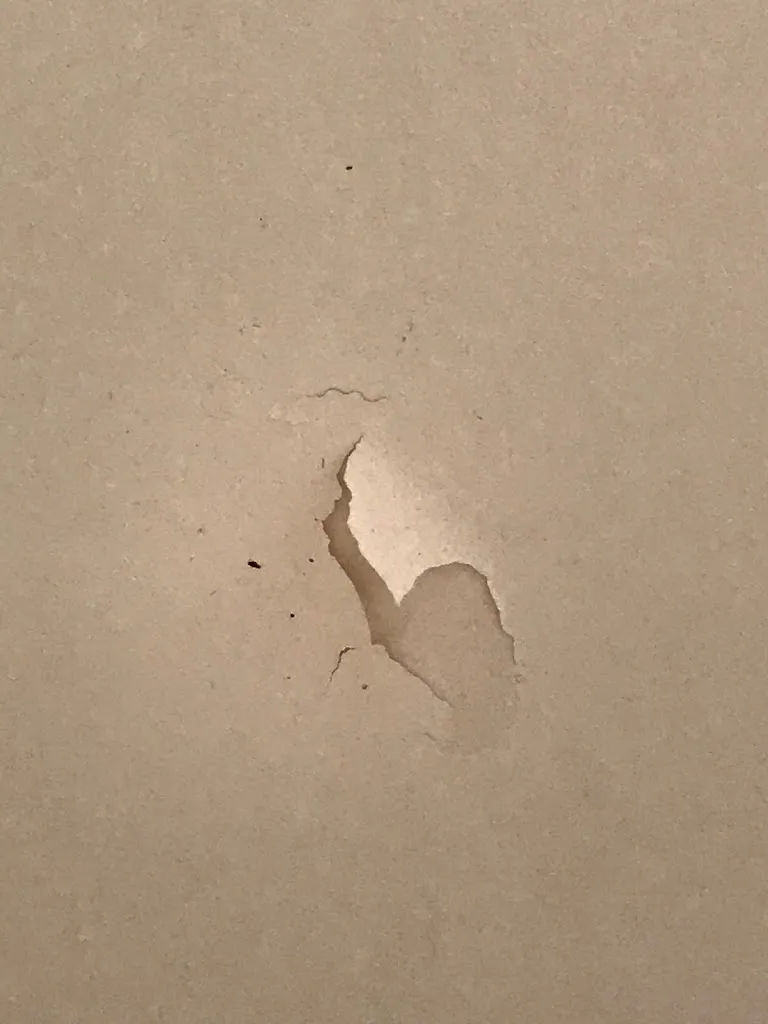 F W_HORT SANT PATRICI. Formatgeria & Celler, Botiga, Restaurant, Hotel_Ferreries_review