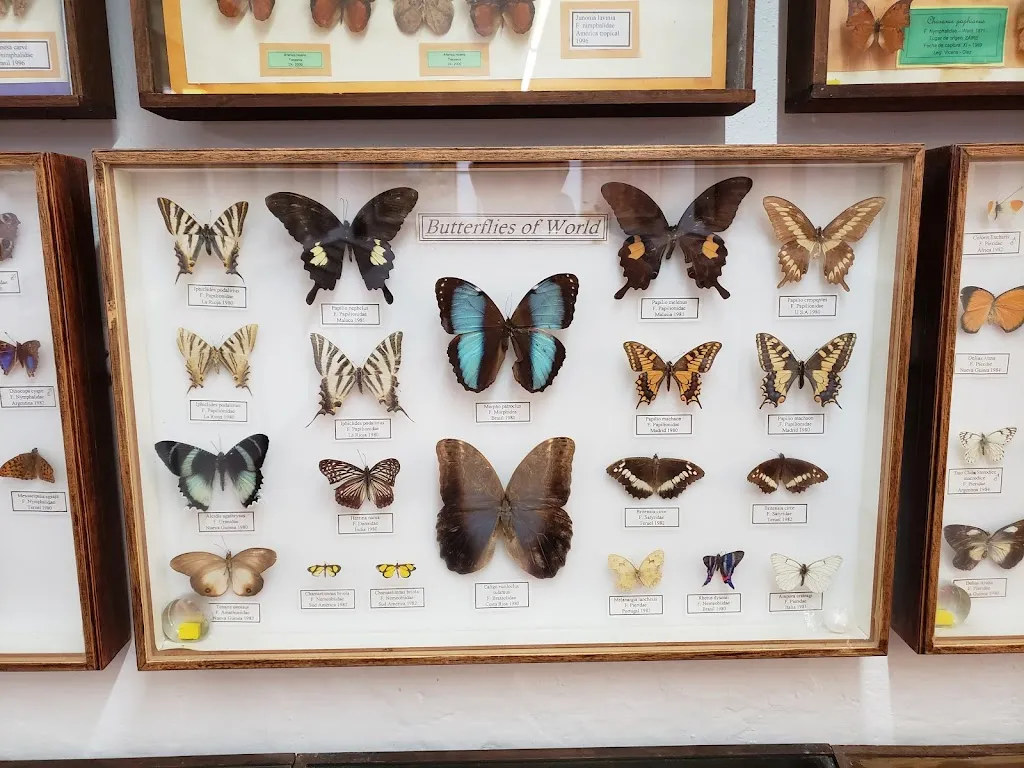 Maria Cristina Oria_Binissuès_Ferreries_recensione