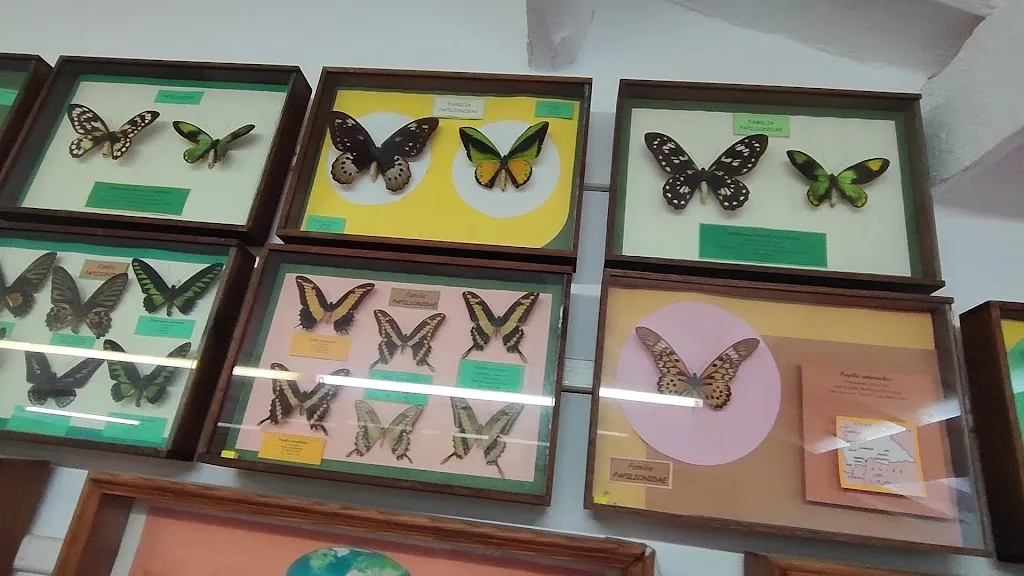 Binissuès_Ferreries_slider_image_2