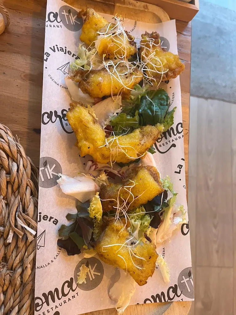 Stein Vanautgaerden_La viajera_Ferreries_review