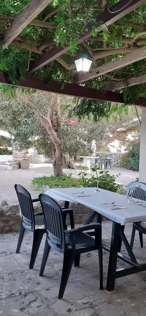 Paul Askew_El Gallo_Ferreries_review