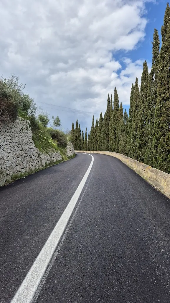 Adria Bauza Amengual_ES POU_Lloret de Vistalegre_review