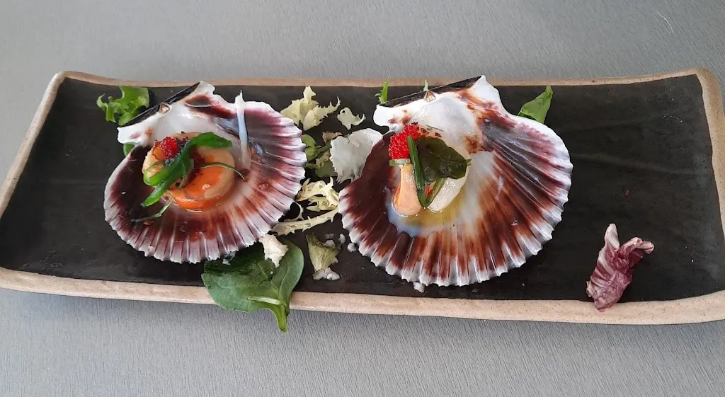 Elizabeth Shearer_La Barra Del Auditorio_Cox_review