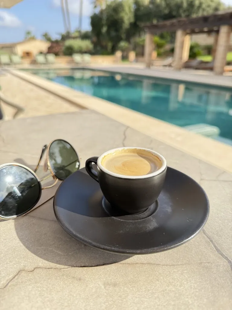 Shankar Mistry_Restaurant Son Terrassa_Felanitx_review