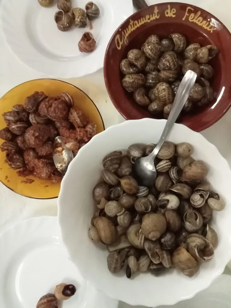 jaume Mas Ferrer_Caragols Son Pou_Felanitx_review