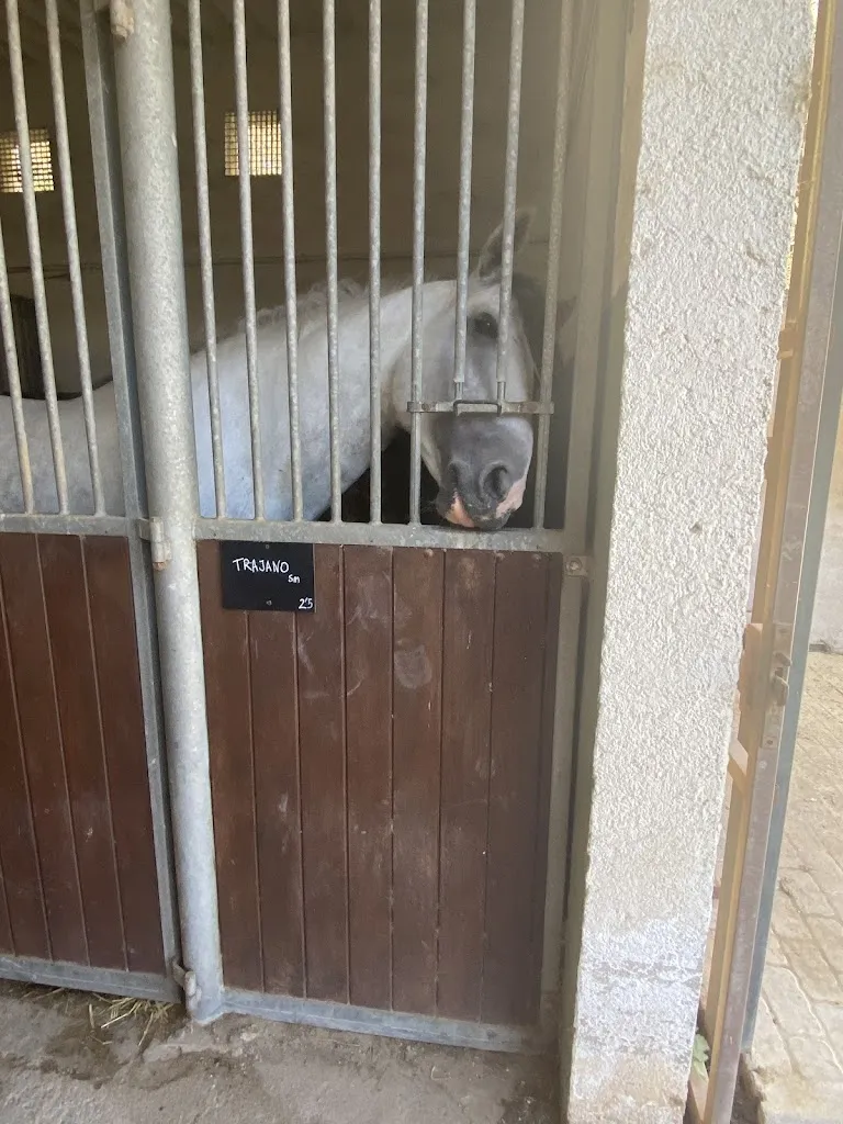 Laura Slooff_Finca Son Menut_Felanitx_review