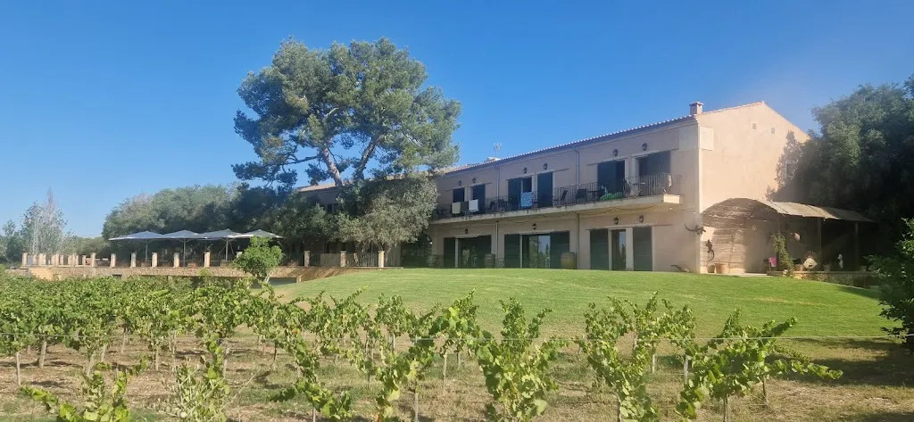 Mark Learmont_Finca Son Menut_Felanitx_review