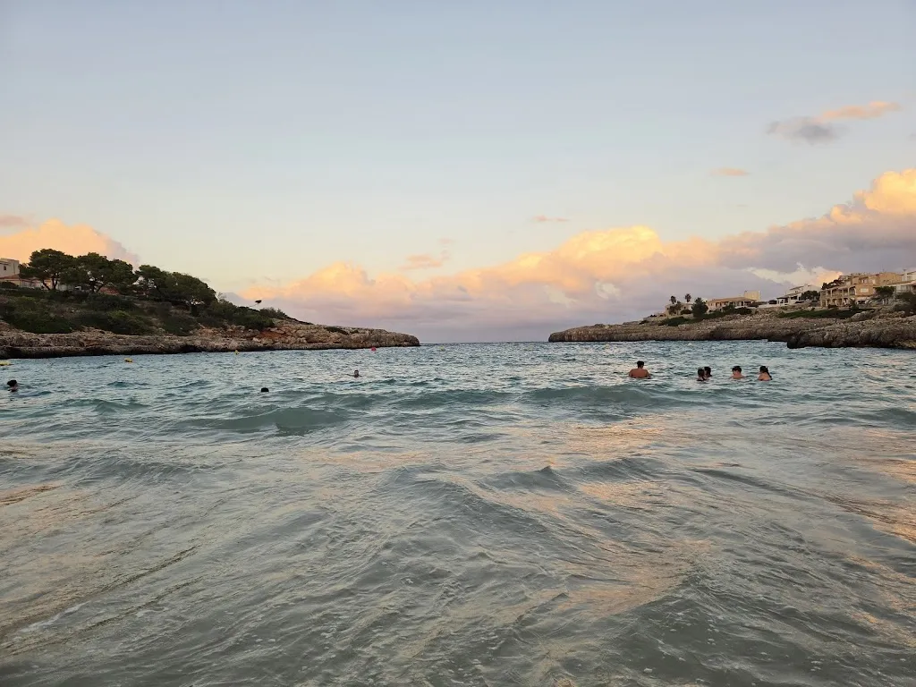 Dominique Ng_Organic, Restaurant Ecològic_Felanitx_review