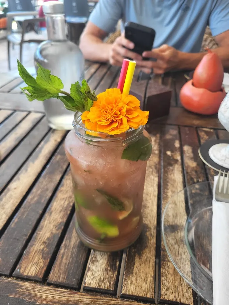 Sarah “Sissy” Heckler-Wilkins_Organic, Restaurant Ecològic_Felanitx_review