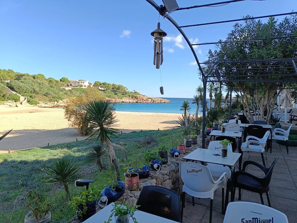 Organic, Restaurant Ecològic_Felanitx_slider_image_1