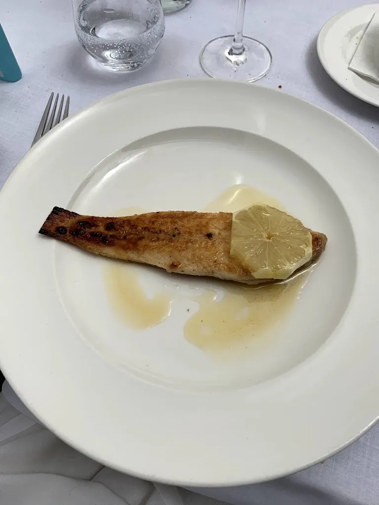 Shahin Shahkarami_Sa Llotja_Felanitx_review