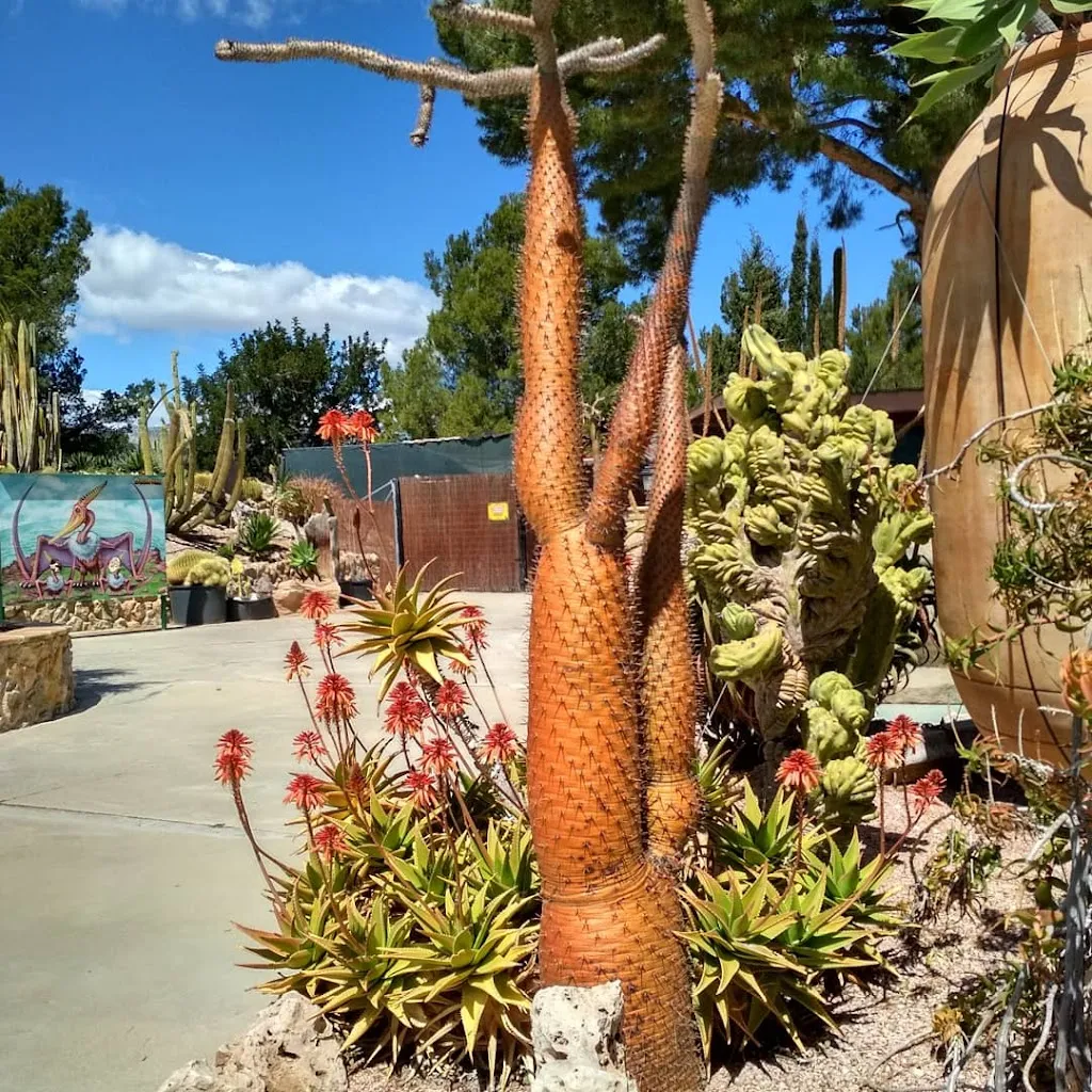 Bar el Coret_Callosa dEn Sarrià_slider_image_2