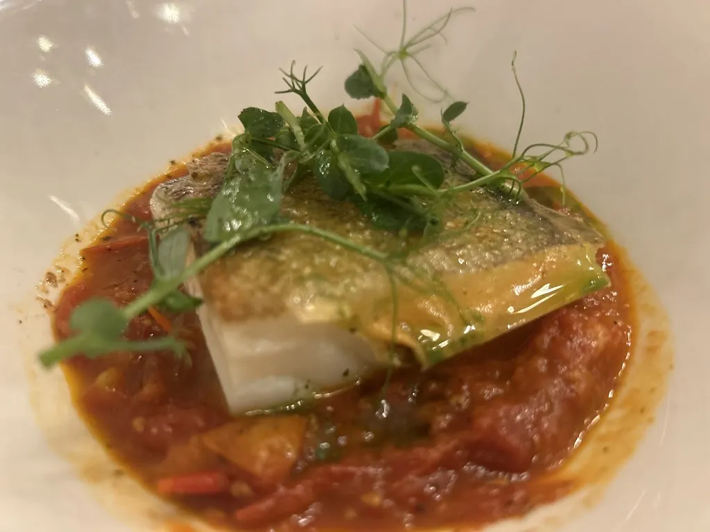 Elie Mounayer_El Camino_Palma_review