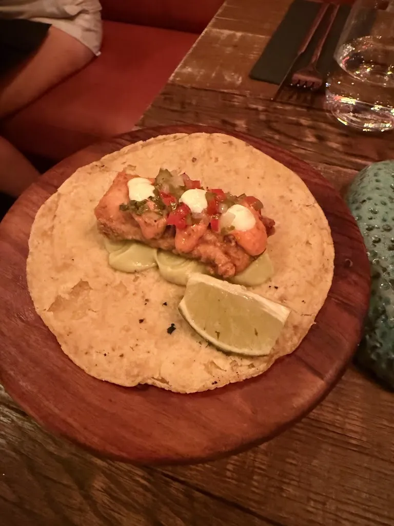 Roberto G_Vandal Palma_Palma_review