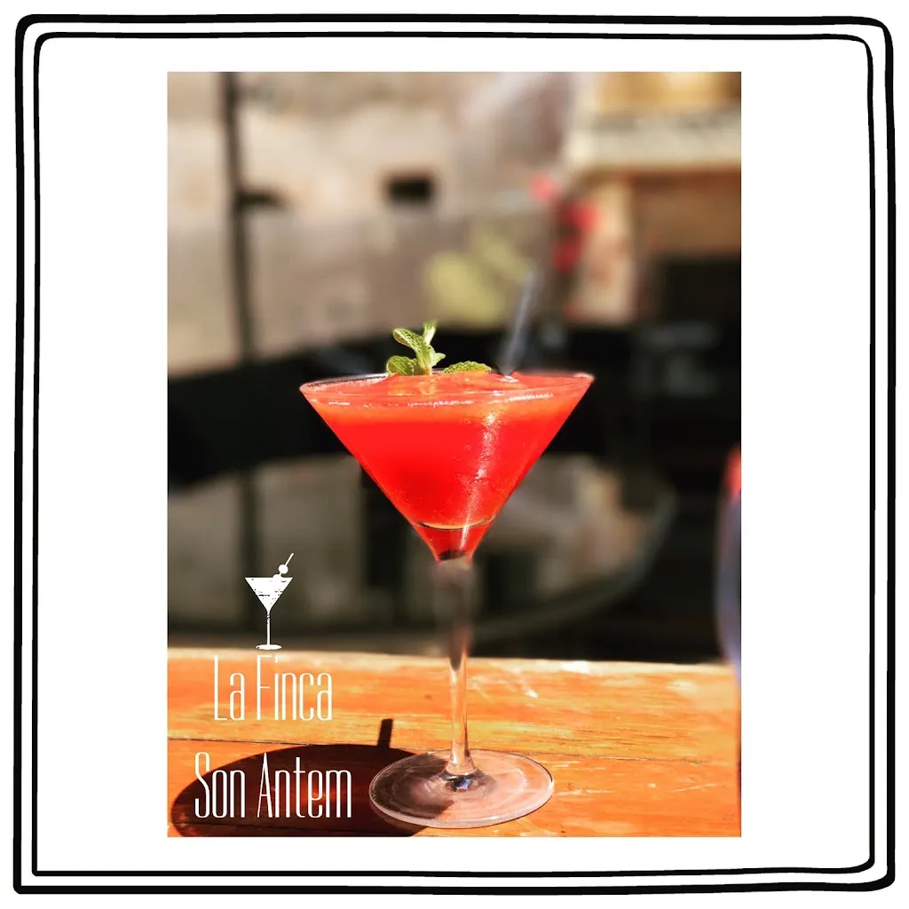 La Finca Son Antem_Llucmajor_slider_image_3