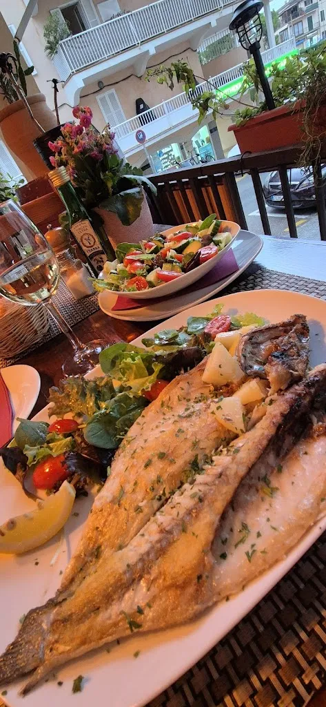 Medeline M_Contraviento_Llucmajor_review