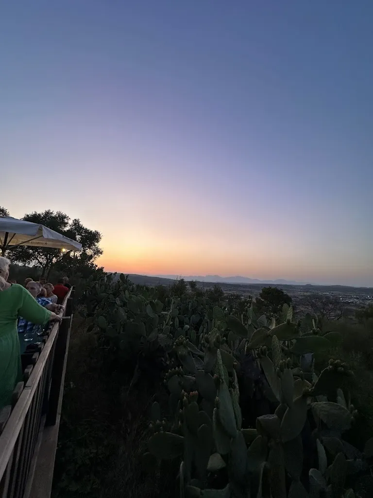 Davide Petrolli_Restaurant Montision_Porreres_review