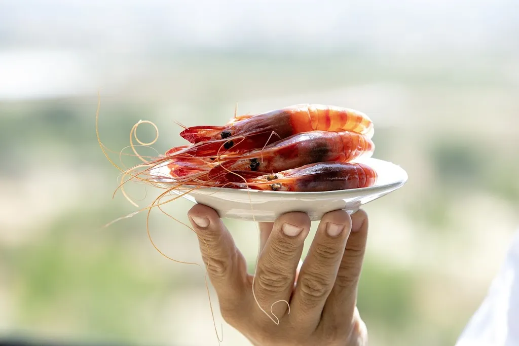 Menu_Restaurante Singular_Pobla Sa_immagine_7