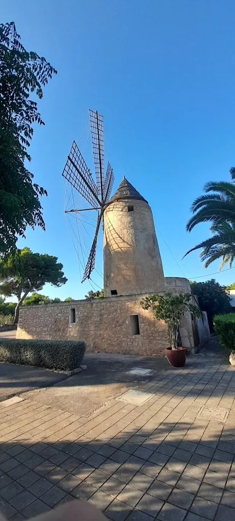 Martin Doran_Ses Aspes_Manacor_review