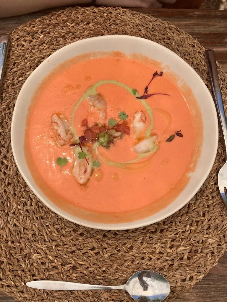 Ny龙（Dragon）_Terragust_Manacor_review