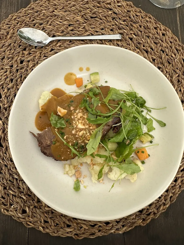 Coralie Belaval_Terragust_Manacor_review