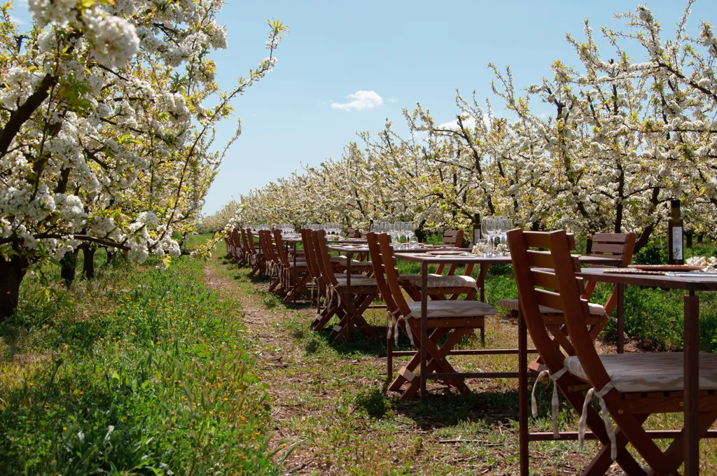 Terragust_Manacor_slider_image_1