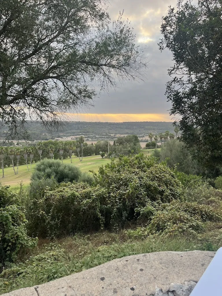 Raad M _Restaurante Erre_Manacor_review