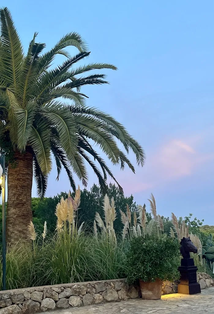 Michelle L_Principal Son Amoixa_Manacor_recensione