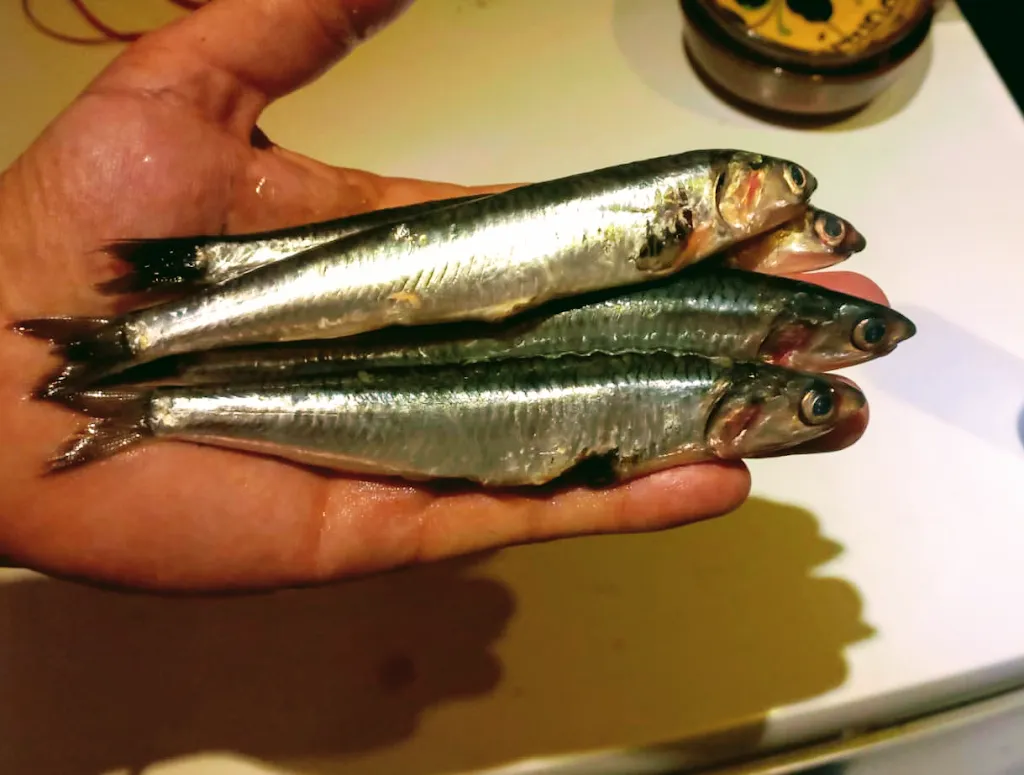 Menu_TABERNA EL BURLAERO _Peguera_image_6