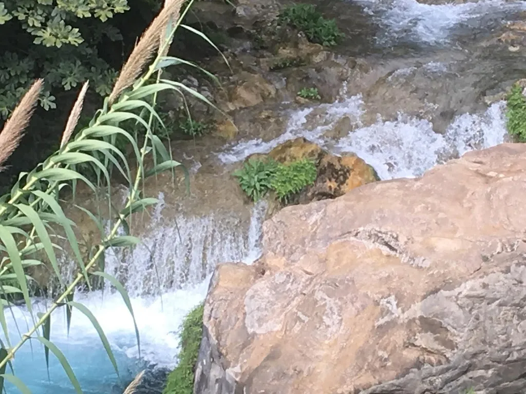 Rachel Thrasher_Restaurante la Cascada Casa Federico_Callosa dEn Sarrià_review