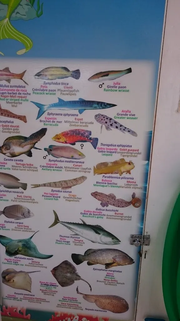 Menu_Restaurante La Gritta_Peguera_immagine_3