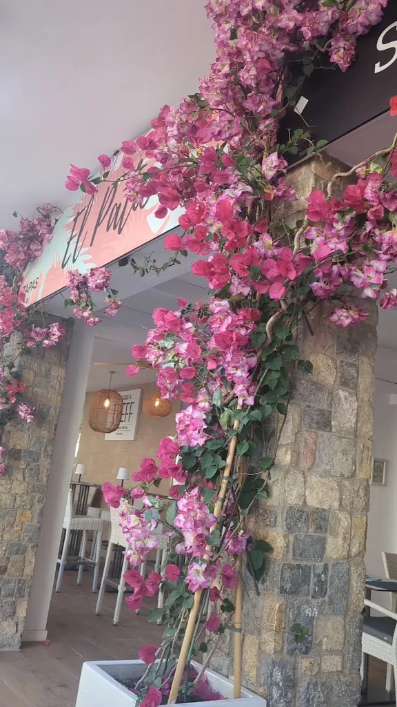 El Patio Restaurante_Peguera_slider_image_2